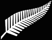 New Zealand Fern - Web Design